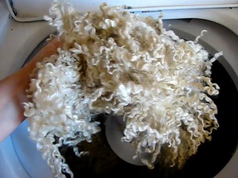 cara mencuci serat wol mentah domba